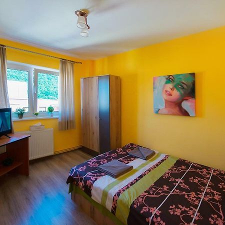 Luna Apartment Brașov Exterior foto